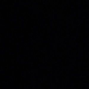 Meet your Posher, Oscar